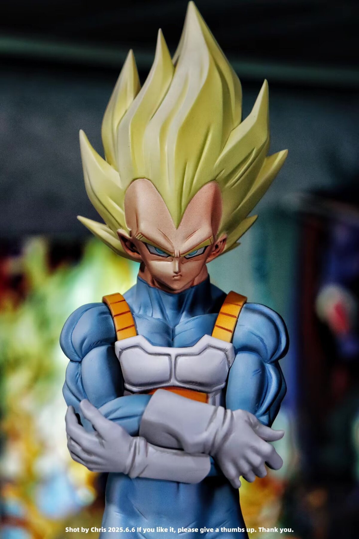 Jackie Gang - Vegeta 1/6 | resin statue