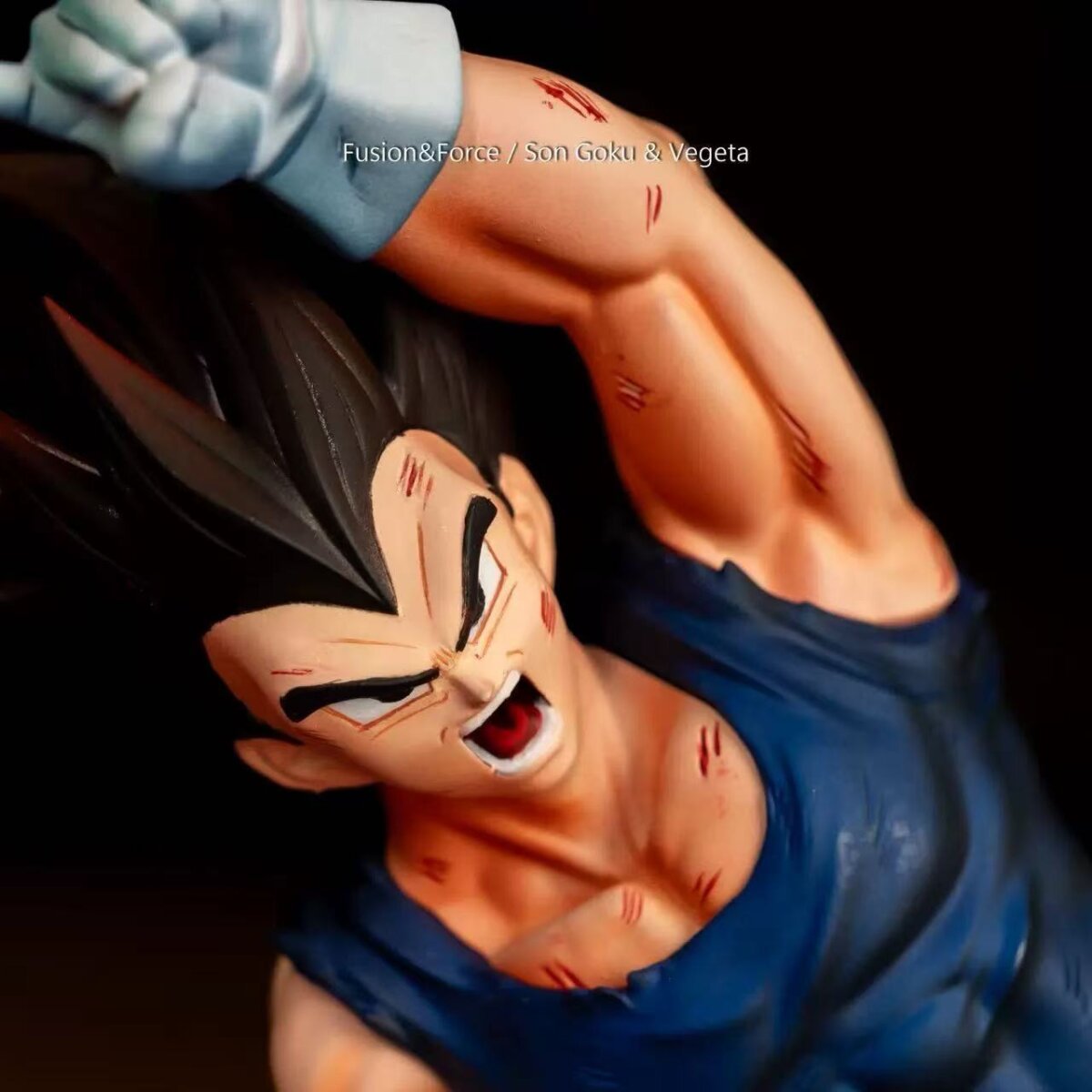 Fusion & Force - Goku & Vegeta | anime figure