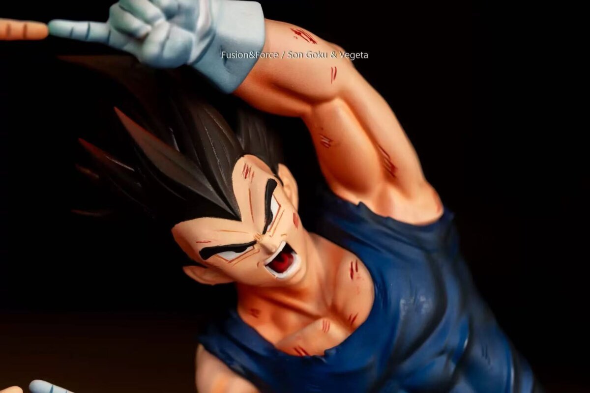 Fusion & Force - Goku & Vegeta | anime figure