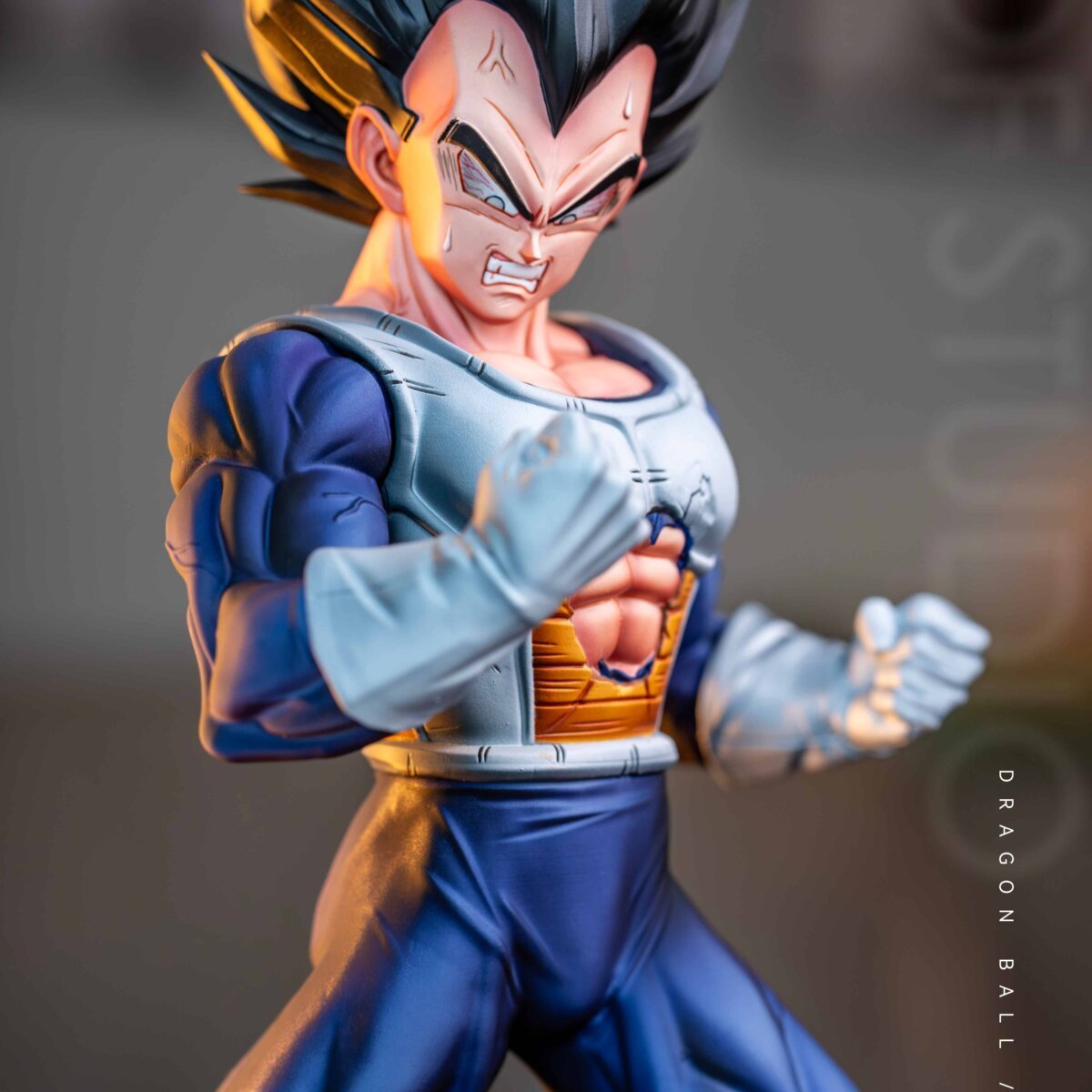 WDF Studio - Vegeta 1/6 | resin statue