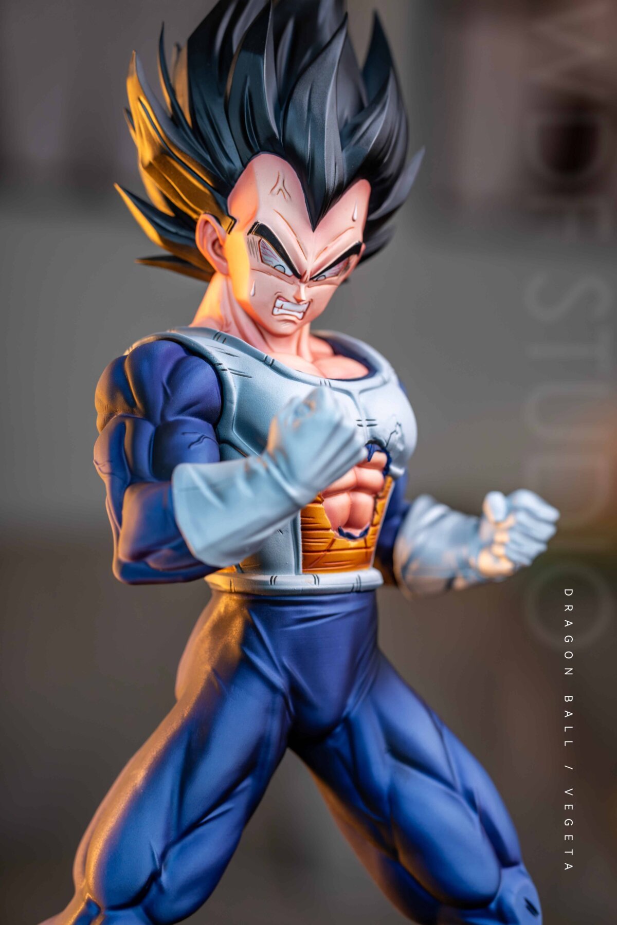 WDF Studio - Vegeta 1/6 | resin statue